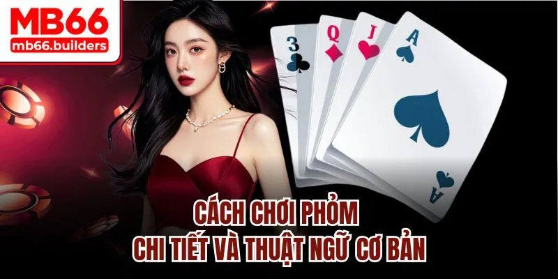 Cách chơi Phỏm chi tiết và thuật ngữ cơ bản