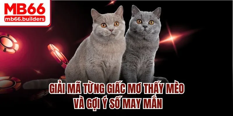 Giải mã từng giấc mơ thấy mèo và gợi ý số may mắn