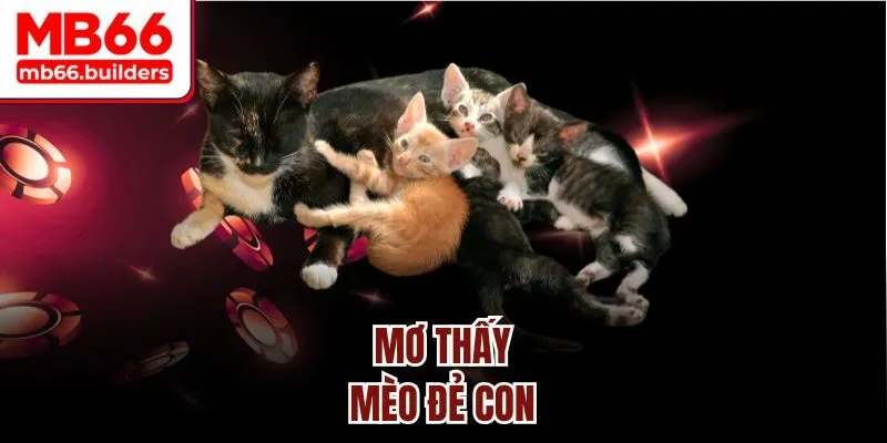 Mơ thấy mèo đẻ con