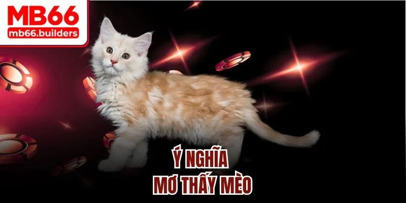 Ý nghĩa mơ thấy mèo